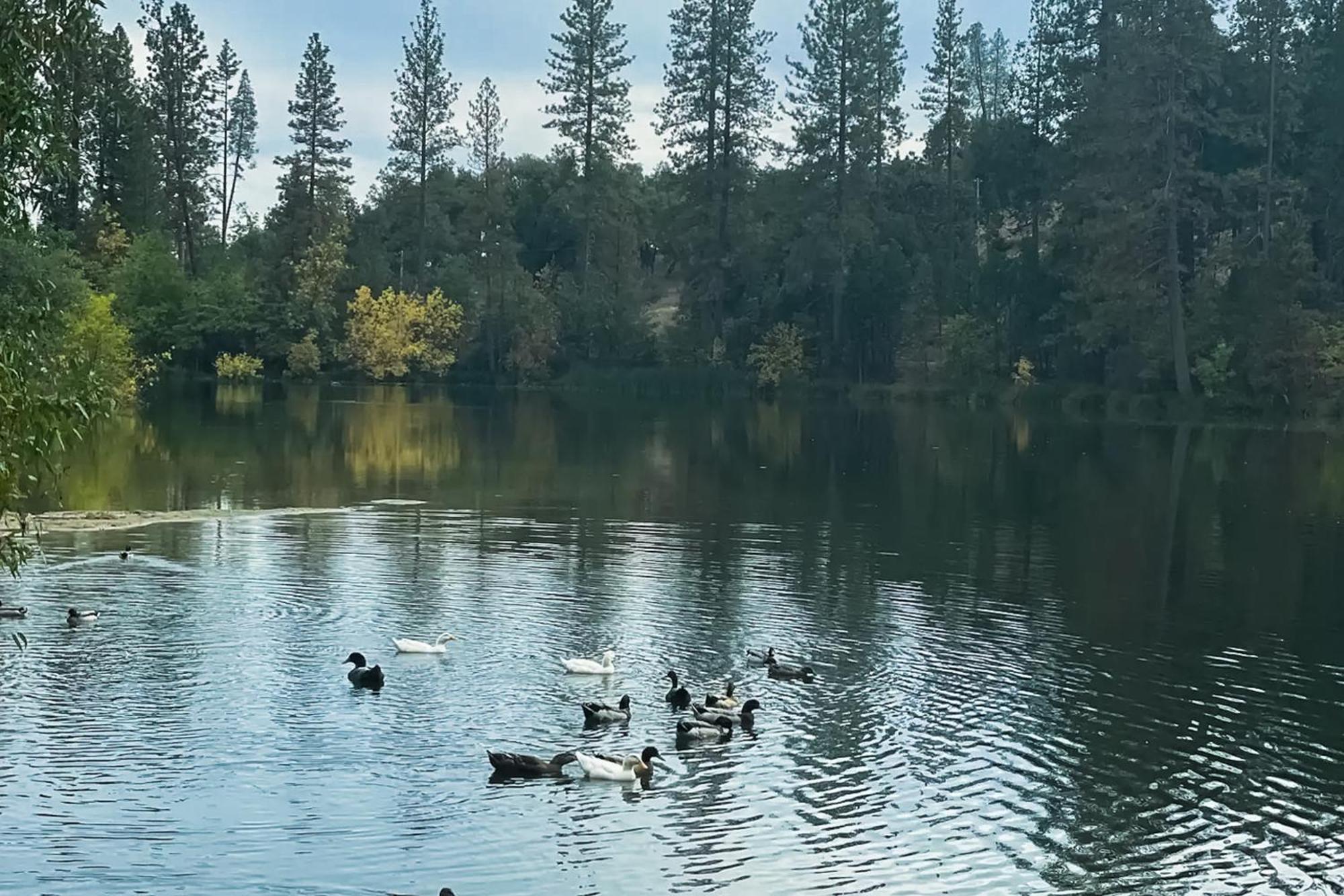 Bass Lake AnnexHonea Bee Hideout别墅 外观 照片